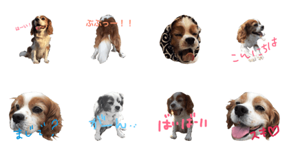 Cavalier_stamp