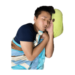 睡覺中的黃豬豬