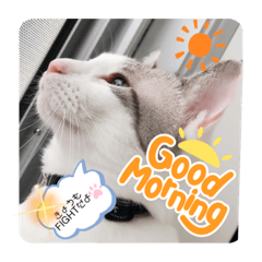 miki_20210906210135