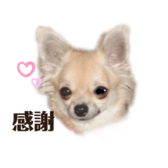 omochi_20210904154551