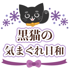 Black cat Anime