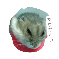 2626kawaii
