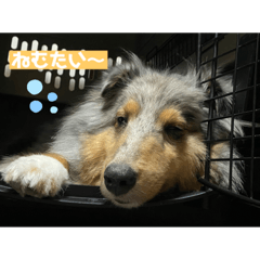 asuka_20210907080440