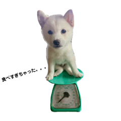 Junko_20210905184608