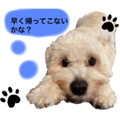 akanen_20210905131903