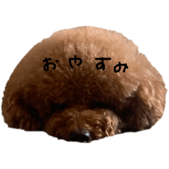 suzu_20210905212549