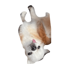 seira_20210905221028