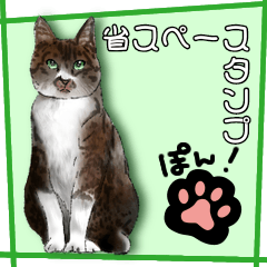 Space-saving Sticker cat version