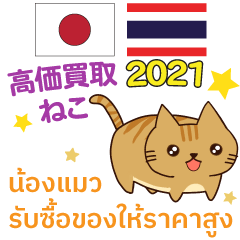 Cat High Purchase Thai Japanese 2021
