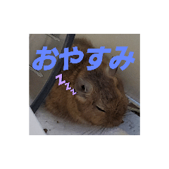 MIYUU_20210906005939