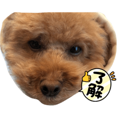 Hana_20210906014318