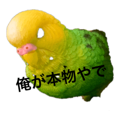 tommy_20210905225438