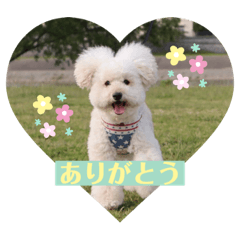 Ricky_20210907085440
