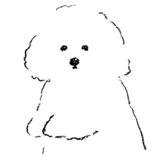 the white dog Ten-kun