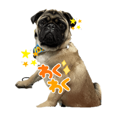 chie_20210907165531