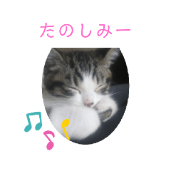 rei_fuwa