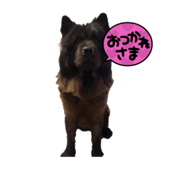 Ponzu_20210907153031
