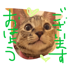 koma&komajirou