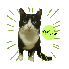 melon_20210906000250