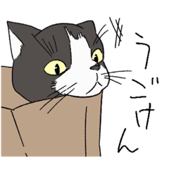 yuto_20210905180922