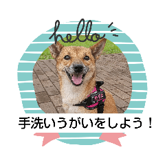 tomomi_20210907125005