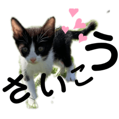 asuka_20210907153757