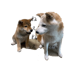 ayumi_20210907150931