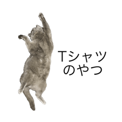 YK_20210907210814