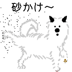 Move! White Mokomoko's Akita dog's