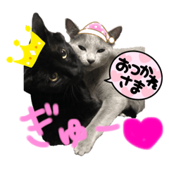 mizuki_20210907230648