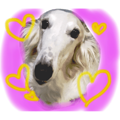 My Sweet Borzoi vol.1