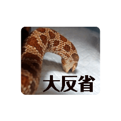 hana_20210907234413