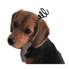 miyuu_20210907143444