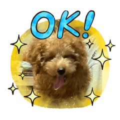 Nozomi_20210906152907