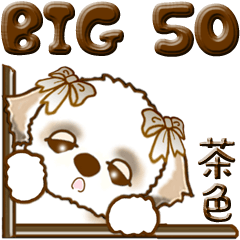 【Big】シーズー犬 50『茶色』