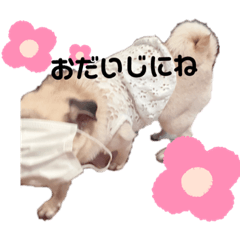 hana_20210906154204