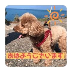 aoi_20210906163420