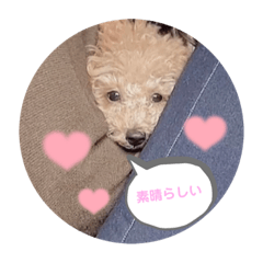 mimi_20210906180304