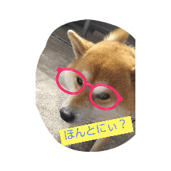 mik_20210906183509