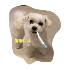 Koko_20210906205931