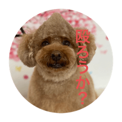 rei_20210906173529