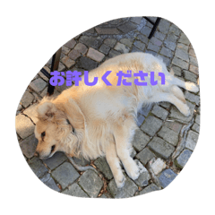 HAYAOKI_20210906102001