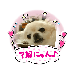 Asako_20210908001215