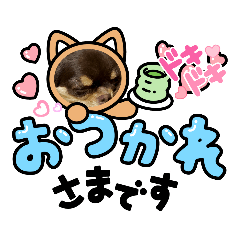 miyuu_20210906195147