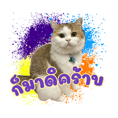 Thanaphop_20210908043636