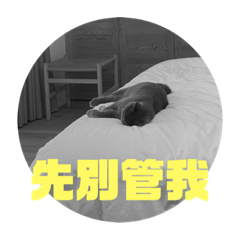Cai_20210908002245 – LINE stickers | LINE STORE