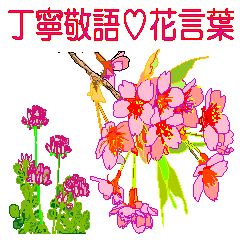 Flower language and polite word