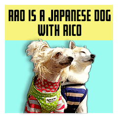 Rao is a Japanese dog with Rico.