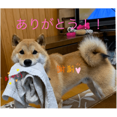 yuto_20210906233350