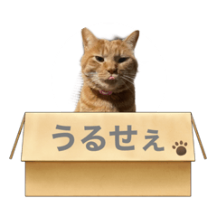chihiro_20210906225604
